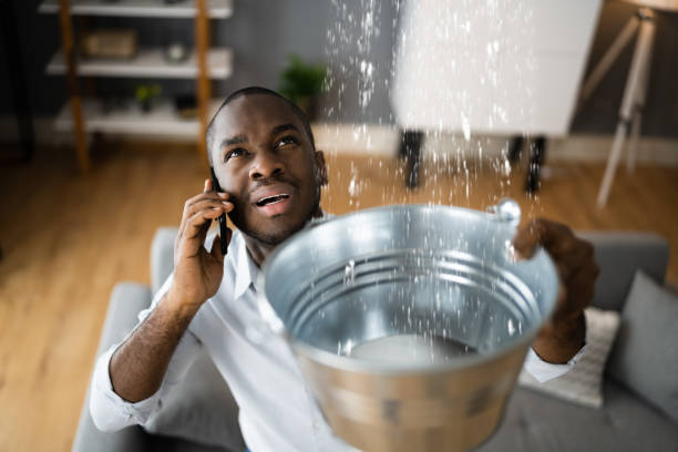 Best Local water damage restoration  in Crystal River, FL