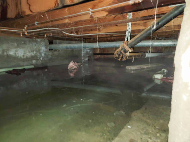 Best 24-hour water damage restoration  in Crystal River, FL