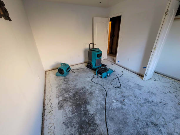 Best Carpet water damage restoration  in Crystal River, FL
