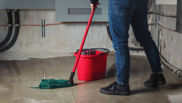 Best Water damage restoration company  in Crystal River, FL