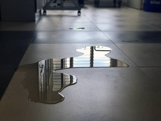 Best Carpet water damage restoration  in Crystal River, FL