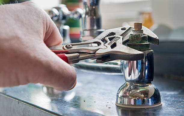 Best Basement water damage restoration  in Crystal River, FL