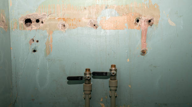 Best Basement water damage restoration  in Crystal River, FL